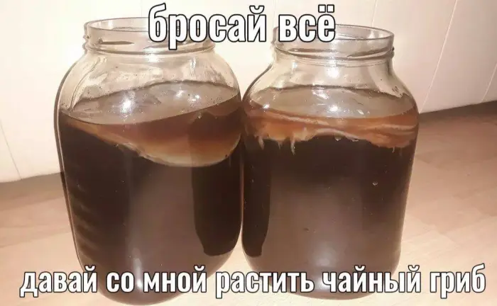 Коллекция самых странных и смешных картинок