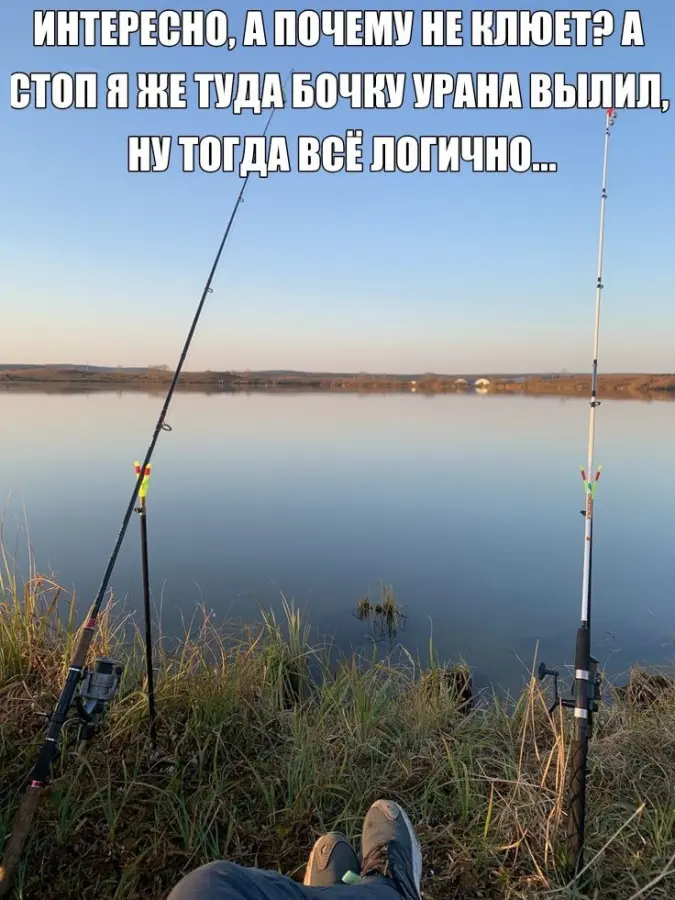 Подборка странных мемов для поднятия настроения