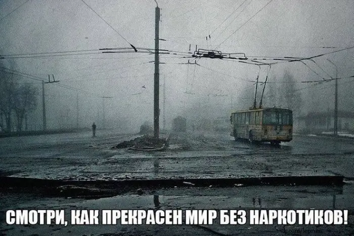 Когда логика уходит на отдых