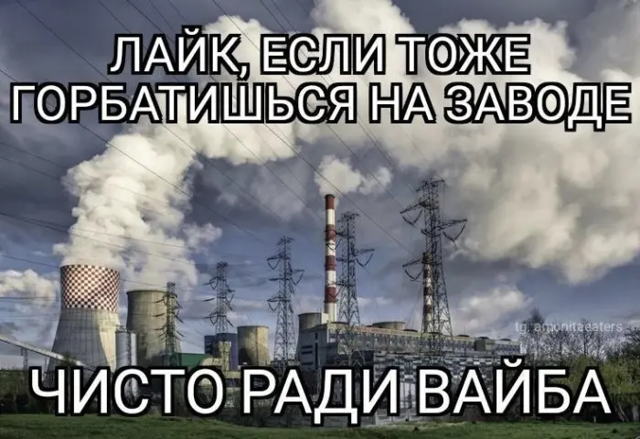 Подборка картинок, от которых сложно оторваться