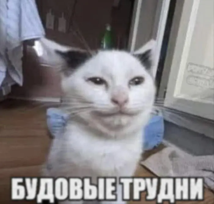Подборка нелепых мемов для поднятия настроения