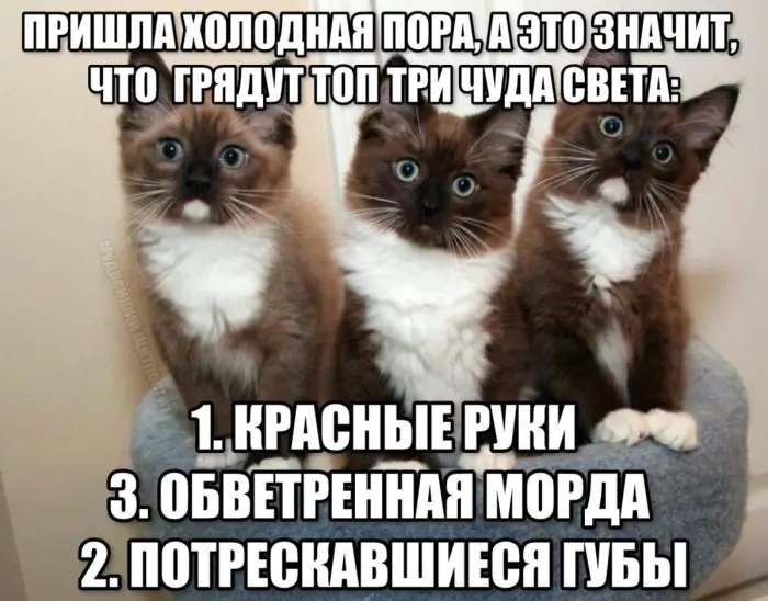 Когда смех лечит, самые странные шутки в кадре