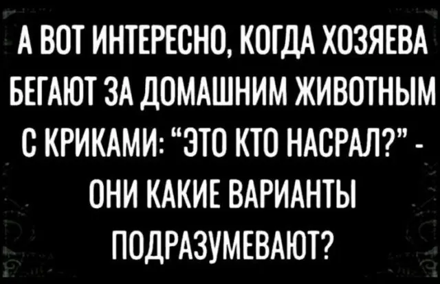 Немного юмора в картинках