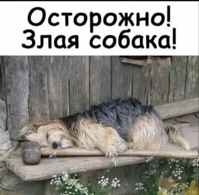 Свежая порция смешных картинок