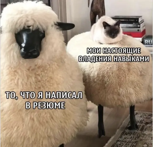 Забавные картинки для хорошего настроения
