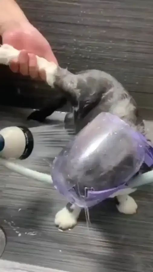 А че так можно было?