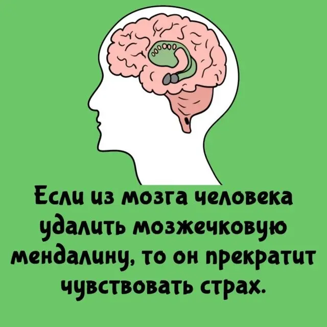А вдруг ты этого не знал?