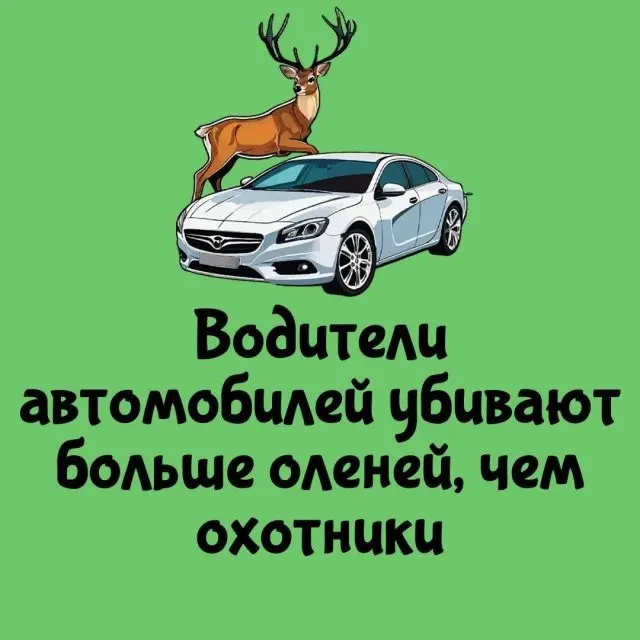 А вдруг ты этого не знал?