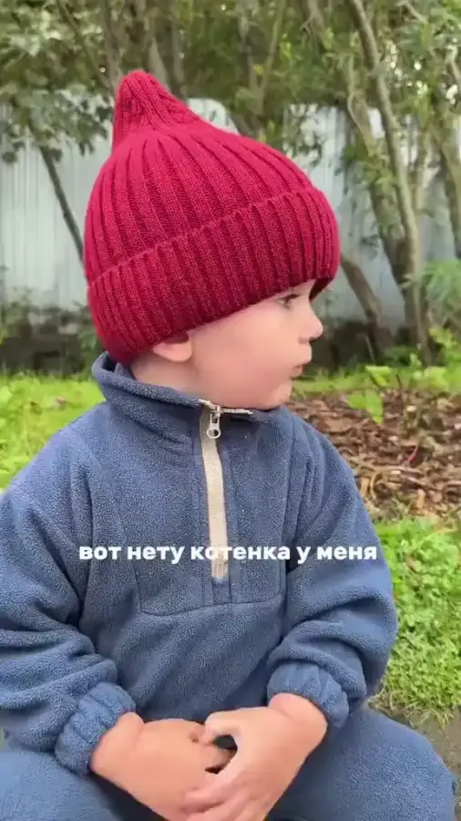 Без кота и жизнь не та