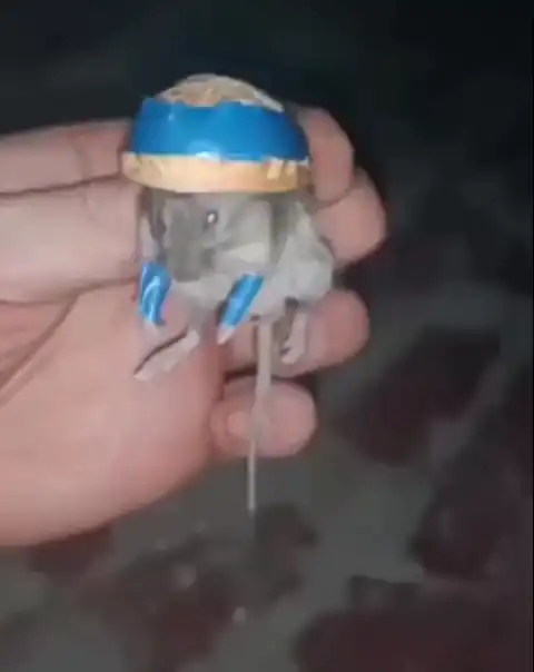Диверсант