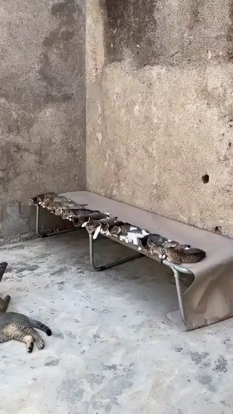 Доброе воскресное утро