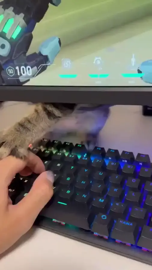 Единственный кто портит тебе всю игру