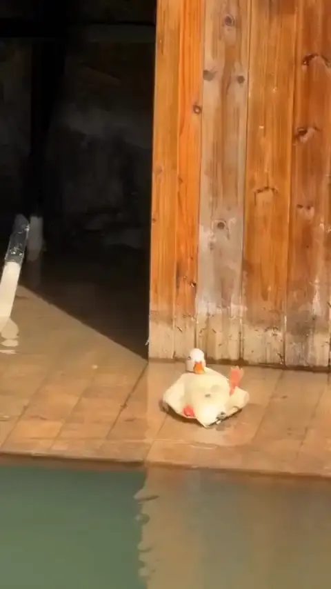 Она живёт свою лучшую жизнь
