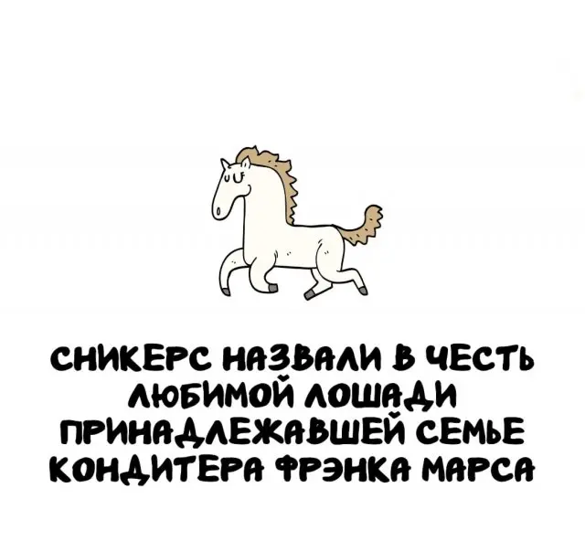 Факты на все случаи жизни