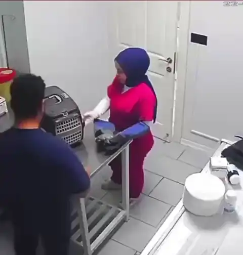 Это не меня заперли с вами, это вас заперли со мной