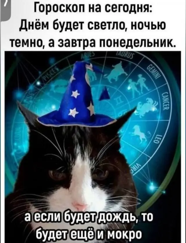 Юмор без лишних слов: смешные картинки