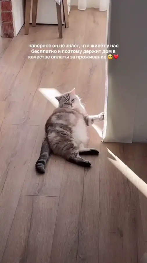 Какой ответственный