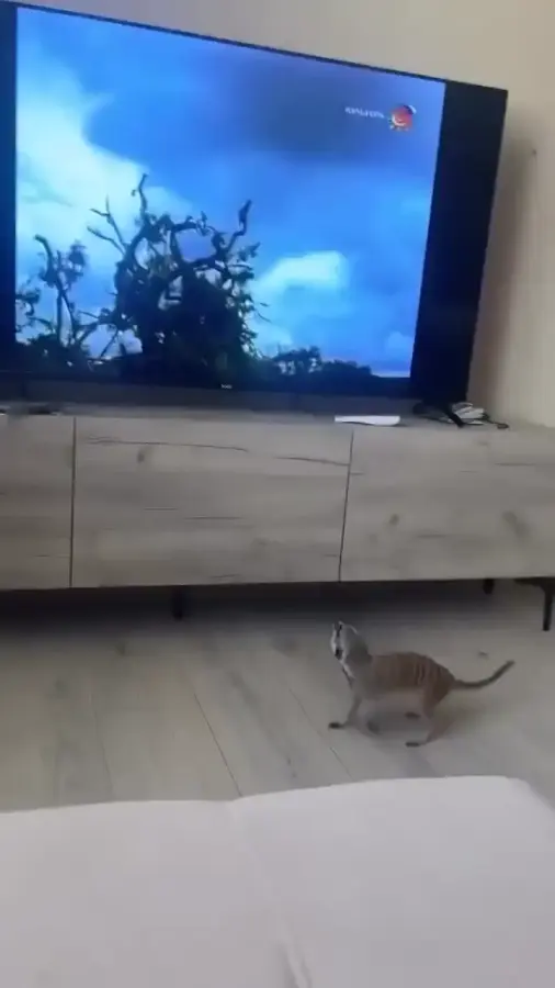 Какой страшный фильм...