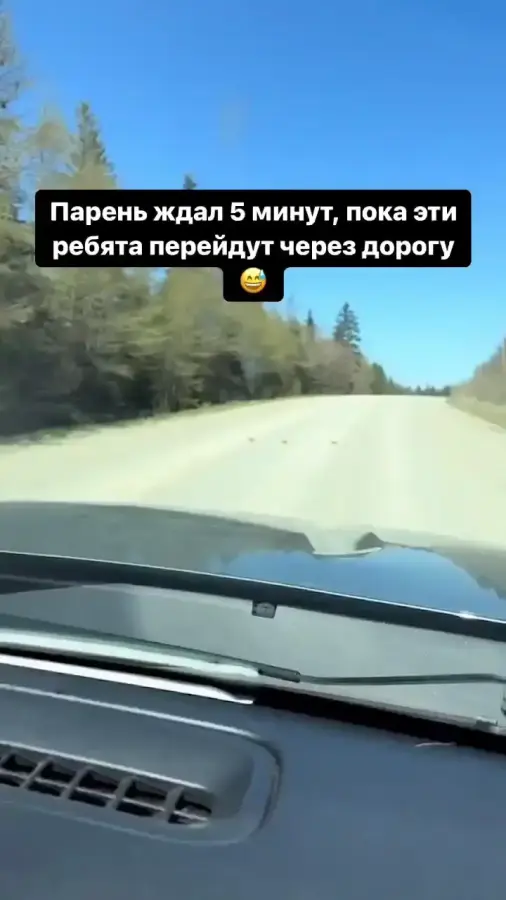 Какой-то ритуальный танец для перехода дороги...
