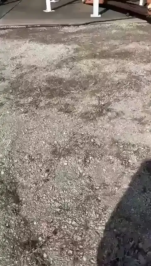 Каждый в этой жизни развлекается как может