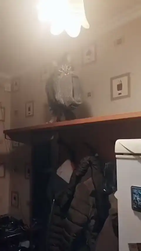 Кожаный ты шапку то надень