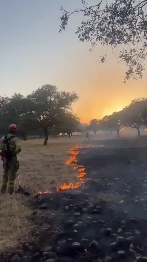 Мастерски!
