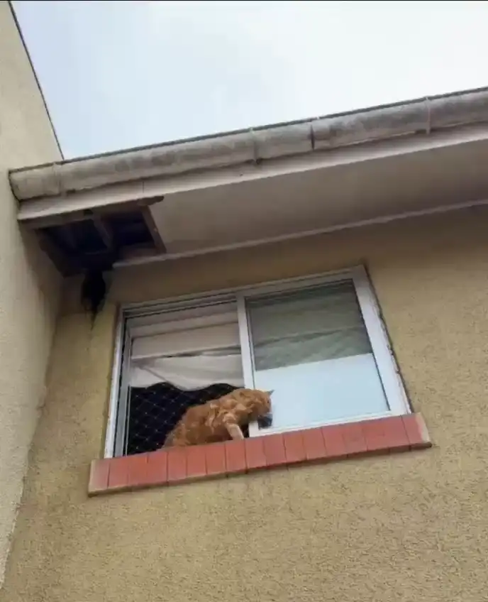 Мне тут удобно