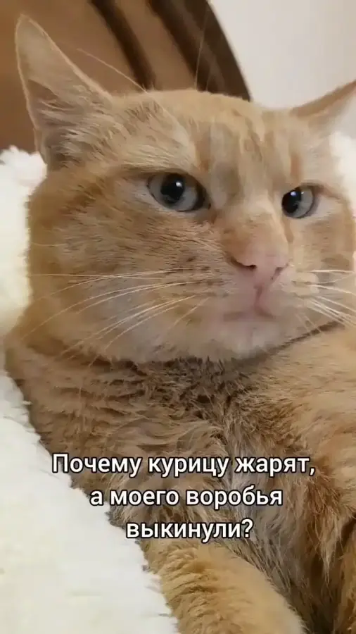Мысли перед сном