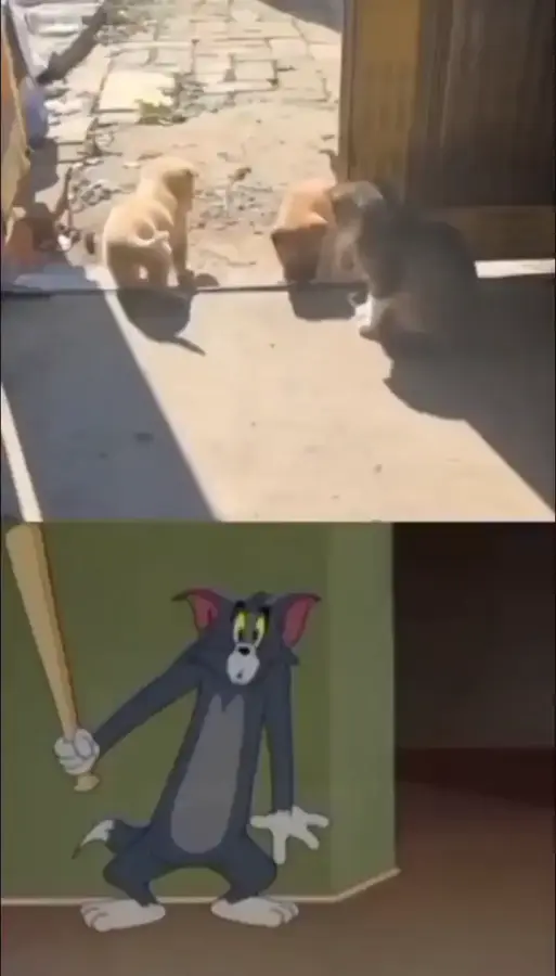 На основе реальных событий
