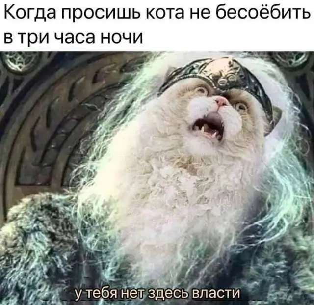 Немного юмора и лёгкого безумия в картинках