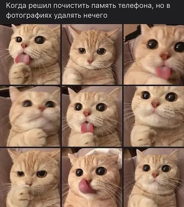Немного юмора и лёгкого безумия в картинках