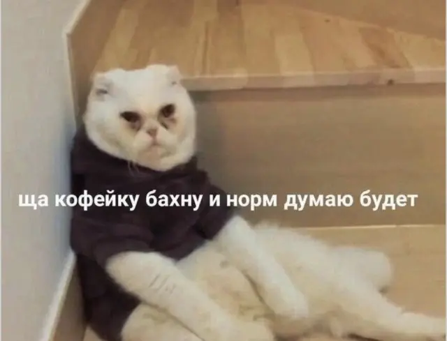 Немного юмора в картинках: свежая подборка