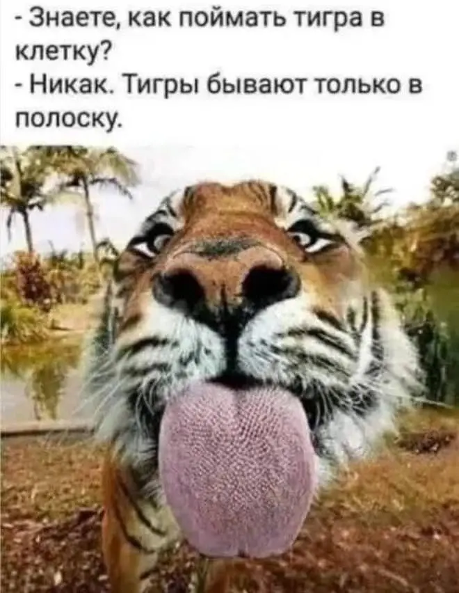 Новая порция жизненных мемов