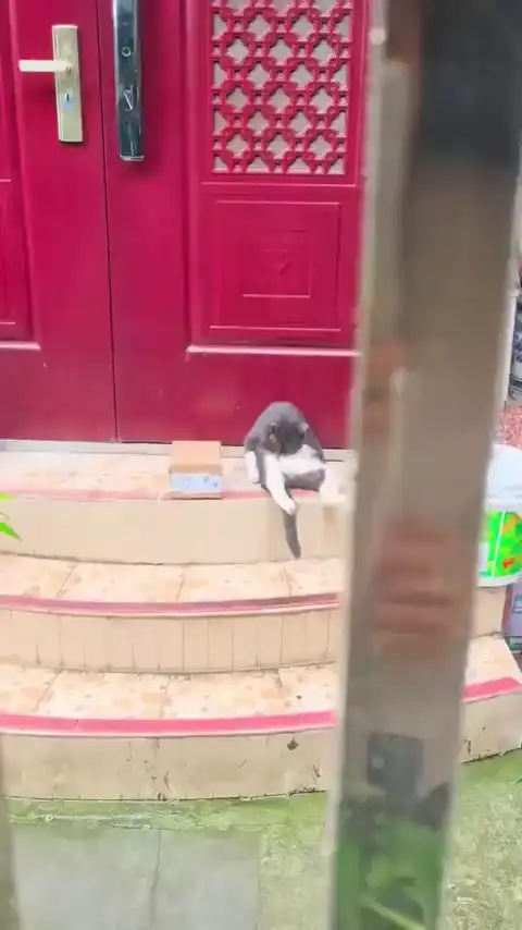Ну и куда ты уставился