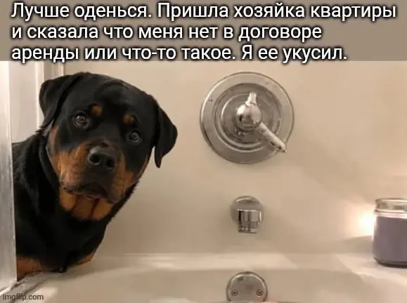 Подборка юмора для хорошего вечера