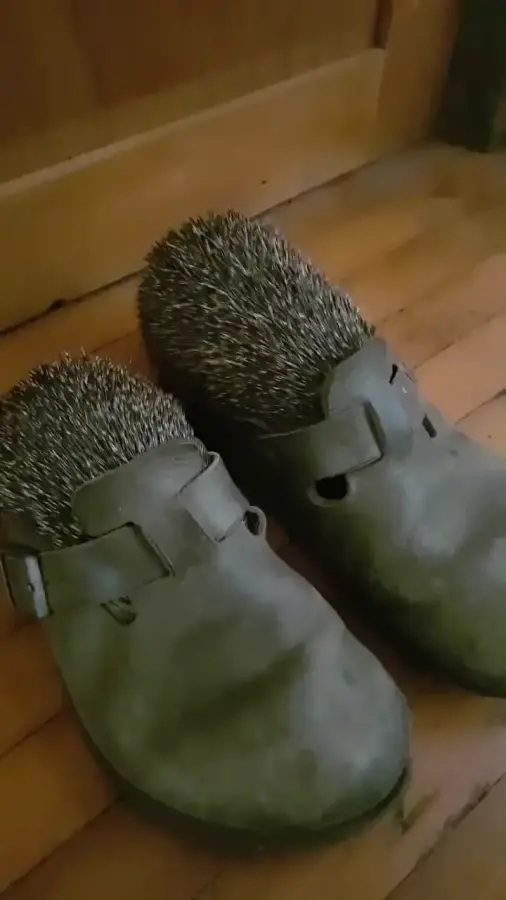 Пора спать