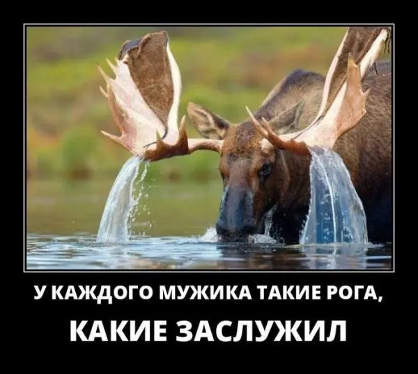 Порция юмора в картинках: немного, зато от души