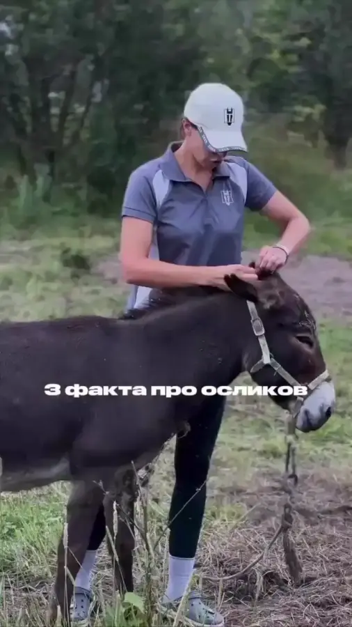 Познавательное на пикабу