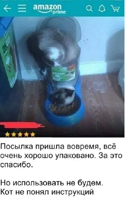 Просто юмор в картинках
