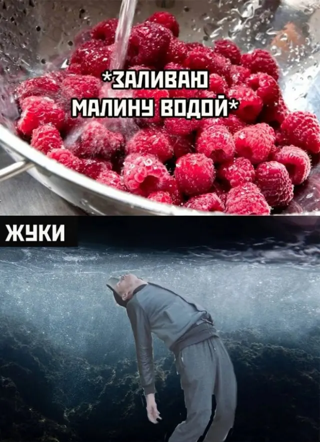 Просто юмор в картинках