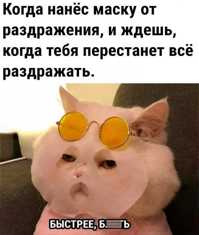 Просто порция юмора в картинках