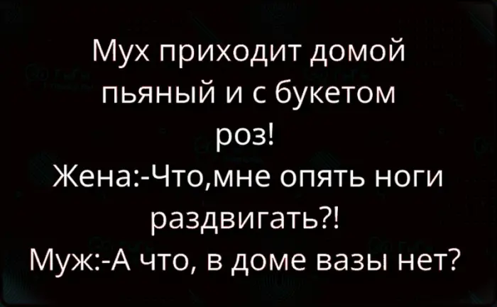 Просто смешные картинки для хорошего настроения