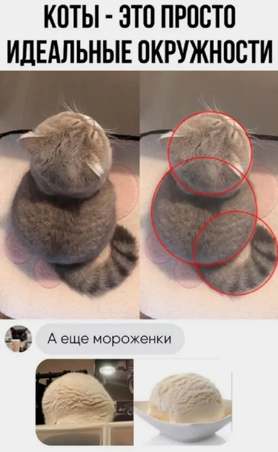 Смешные картинки, которые говорят сами за себя