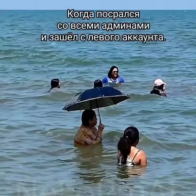 Смешные картинки на сегодня