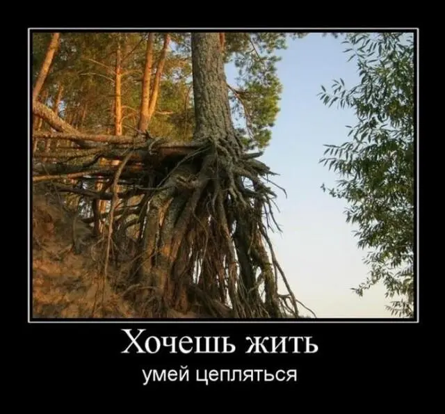 Смешные картинки: немного юмора на каждый день