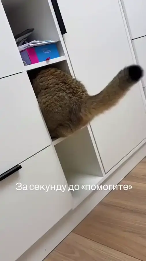 Спасите, Помогите!...
