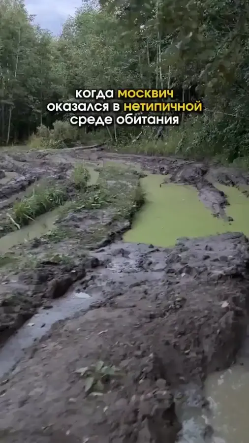 Стас несёт