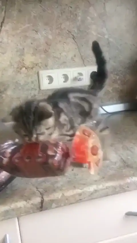 Так, так, так,это моё