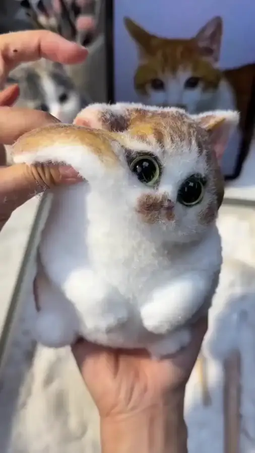 Желешка котик