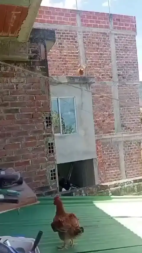 Жёсткая посадка